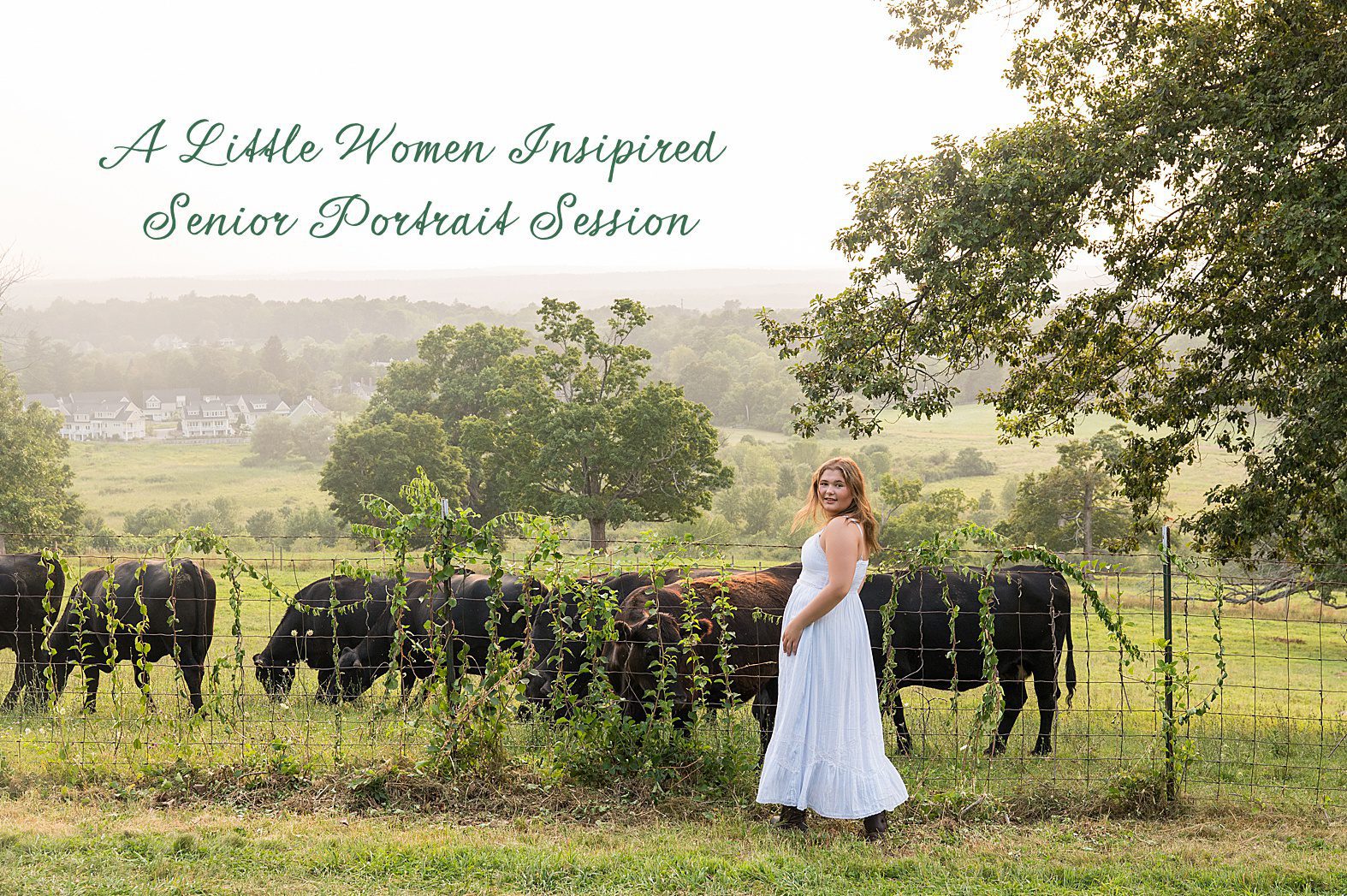Gibbet Hill and Concord Senior Portraits